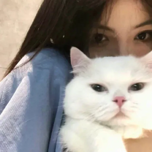 NebulaCat