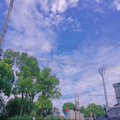 搬砖工张伟